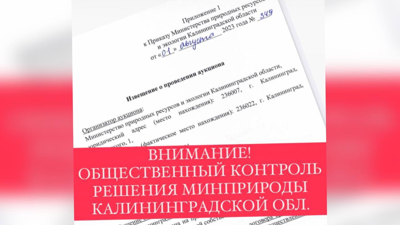 Общественная оценка приказа Минприроды КО о сдаче в аренду защитного леса в Синявино