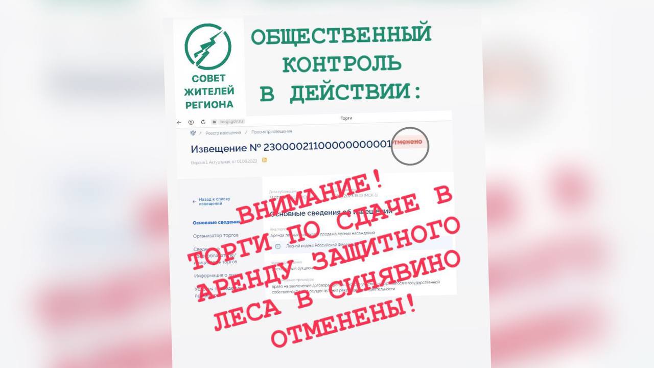 Торги по сдаче Синявинского леса "под глэмпинги" отменены после обращения СЖР в прокуратуру "