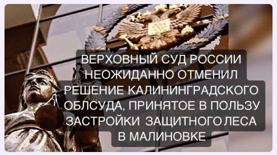 Верховный Суд неожиданно отменил решение облсуда, принятое в пользу застройки защитного леса в Малиновке