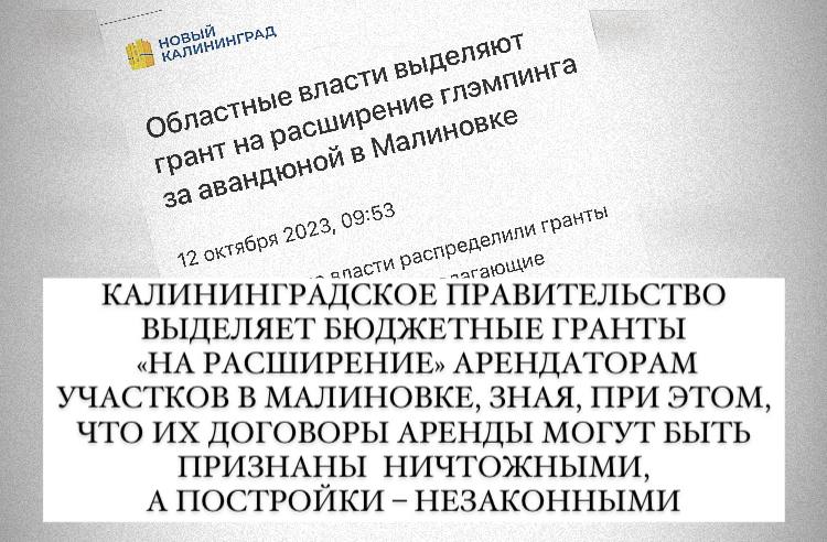 Региональное правительство выделило ещё 20 миллионов рублей на расширение застройки глэмпингами участков леса в Малиновке, несмотря на признание "ошибок" при передаче их в аренду